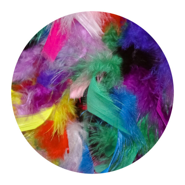 Feathers Mixed 15Cm 20Pcs