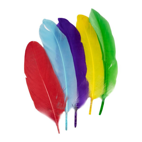 Feathers goose Bright 15cm 5Pcs