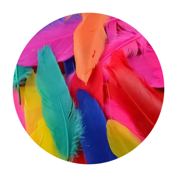 Feathers goose Pastel 15cm 5Pcs