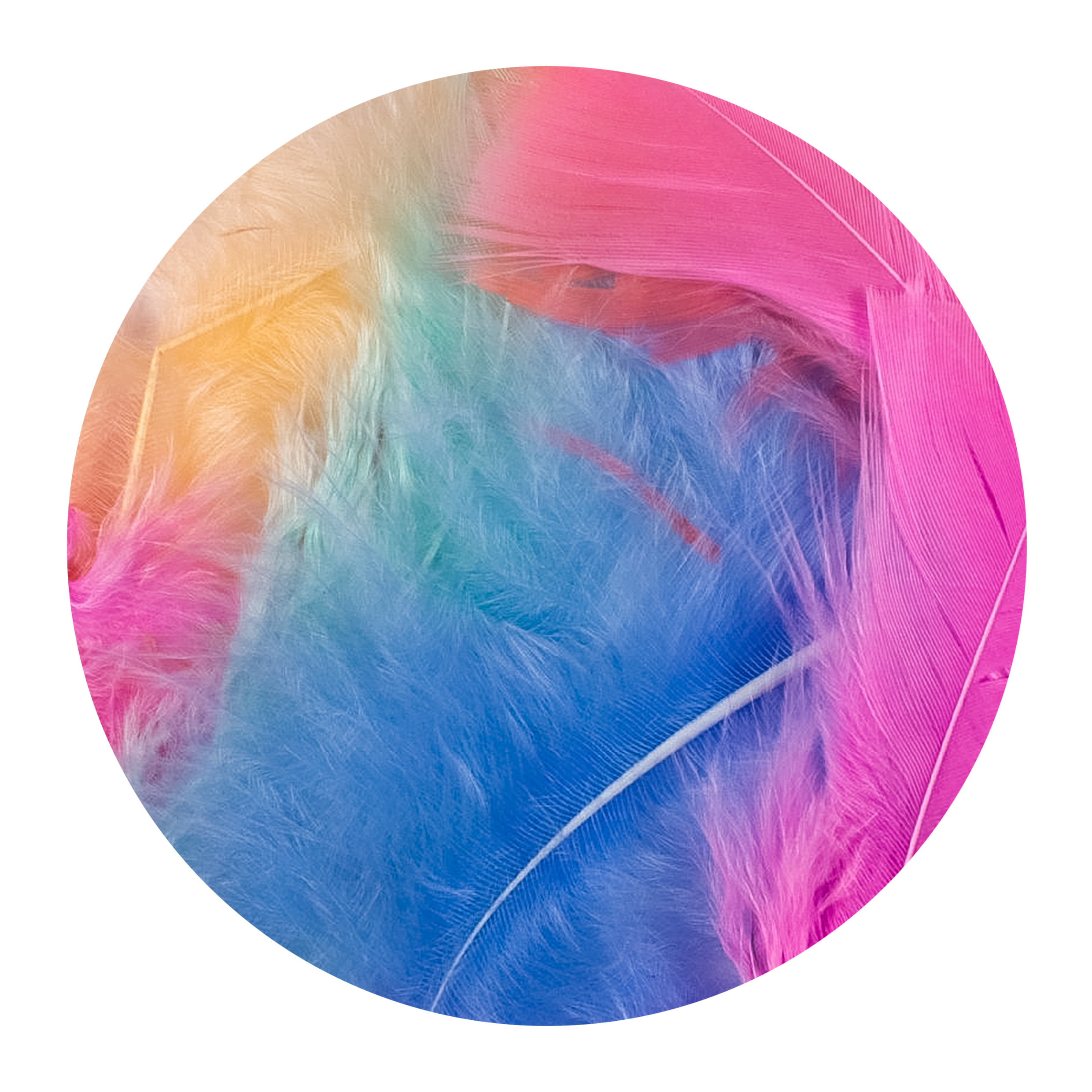 Feathers Pastel