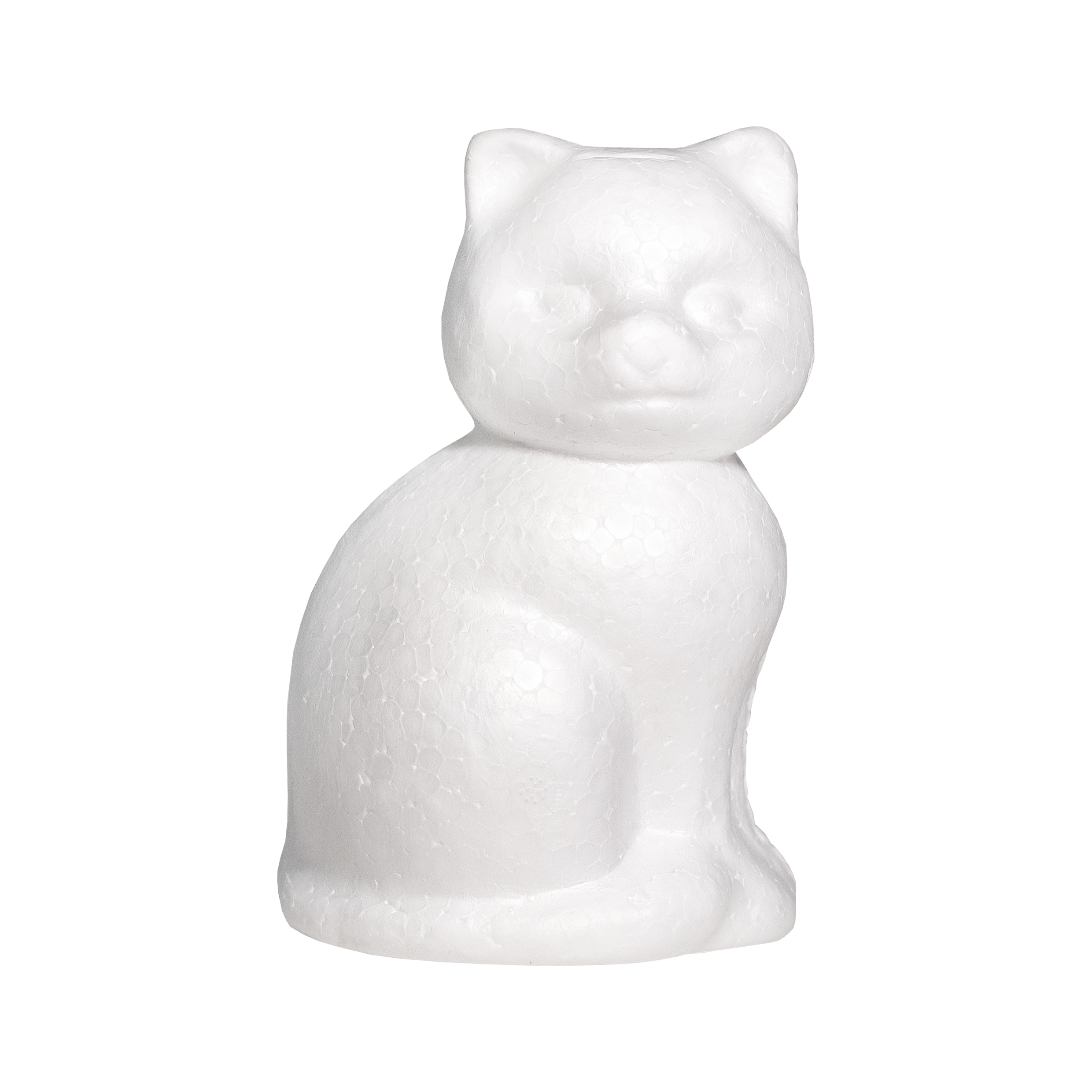 Foam Cat