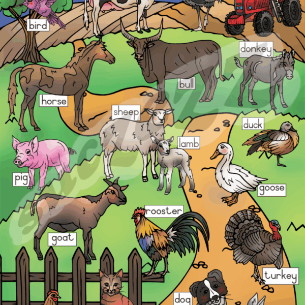 Farm Animals - Poster