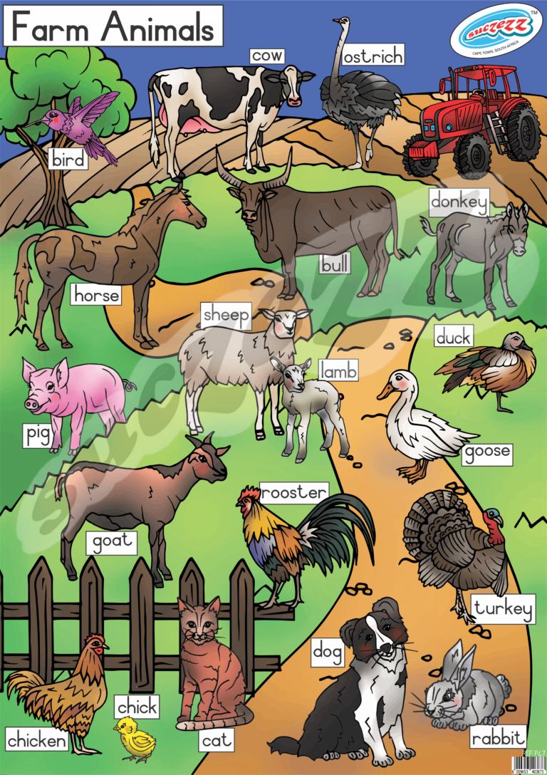 FARM ANIMALS - POSTER