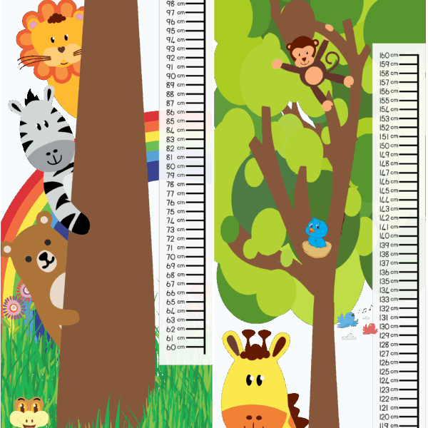 Height Chart