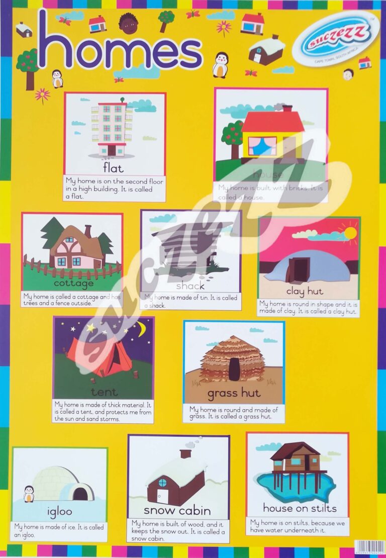 HOMES - POSTER