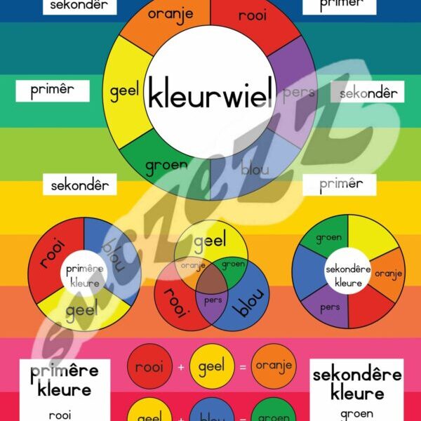 Kleurwiel - Muurkaart