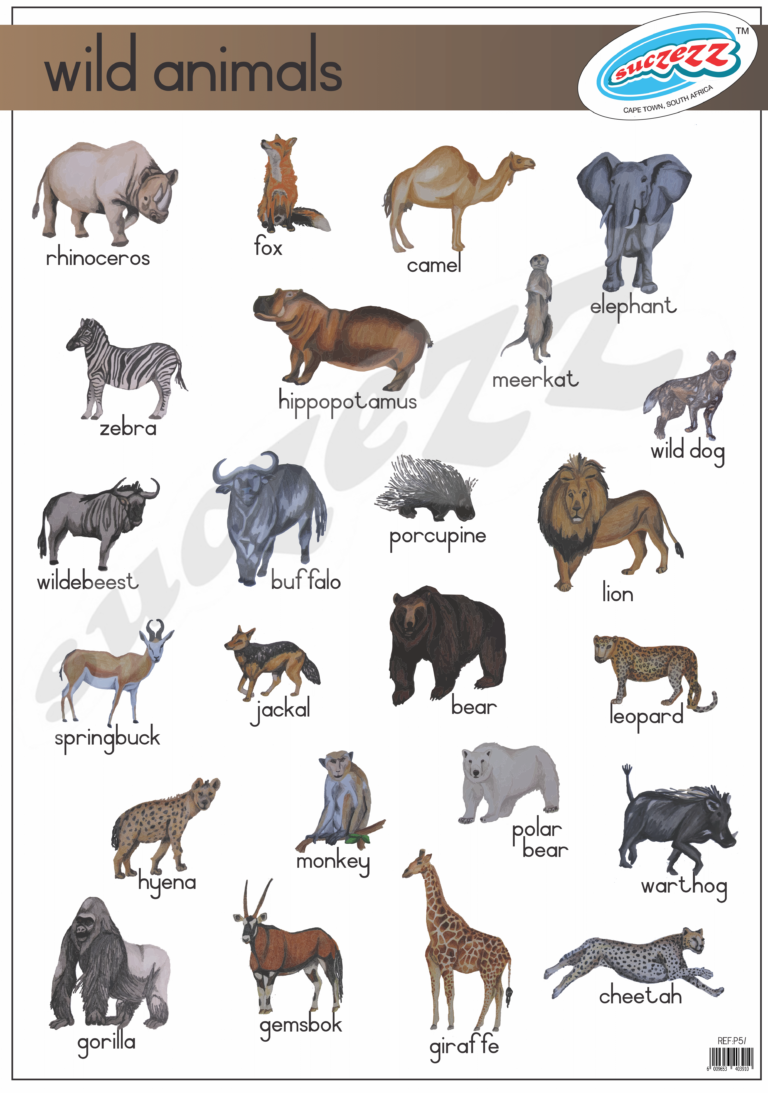 WILD ANIMALS - POSTER