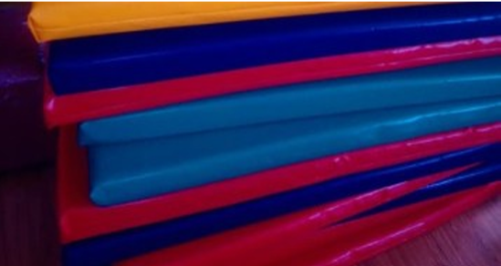 Mattress 50Mm 300G Pvc Cover 1200 X 600