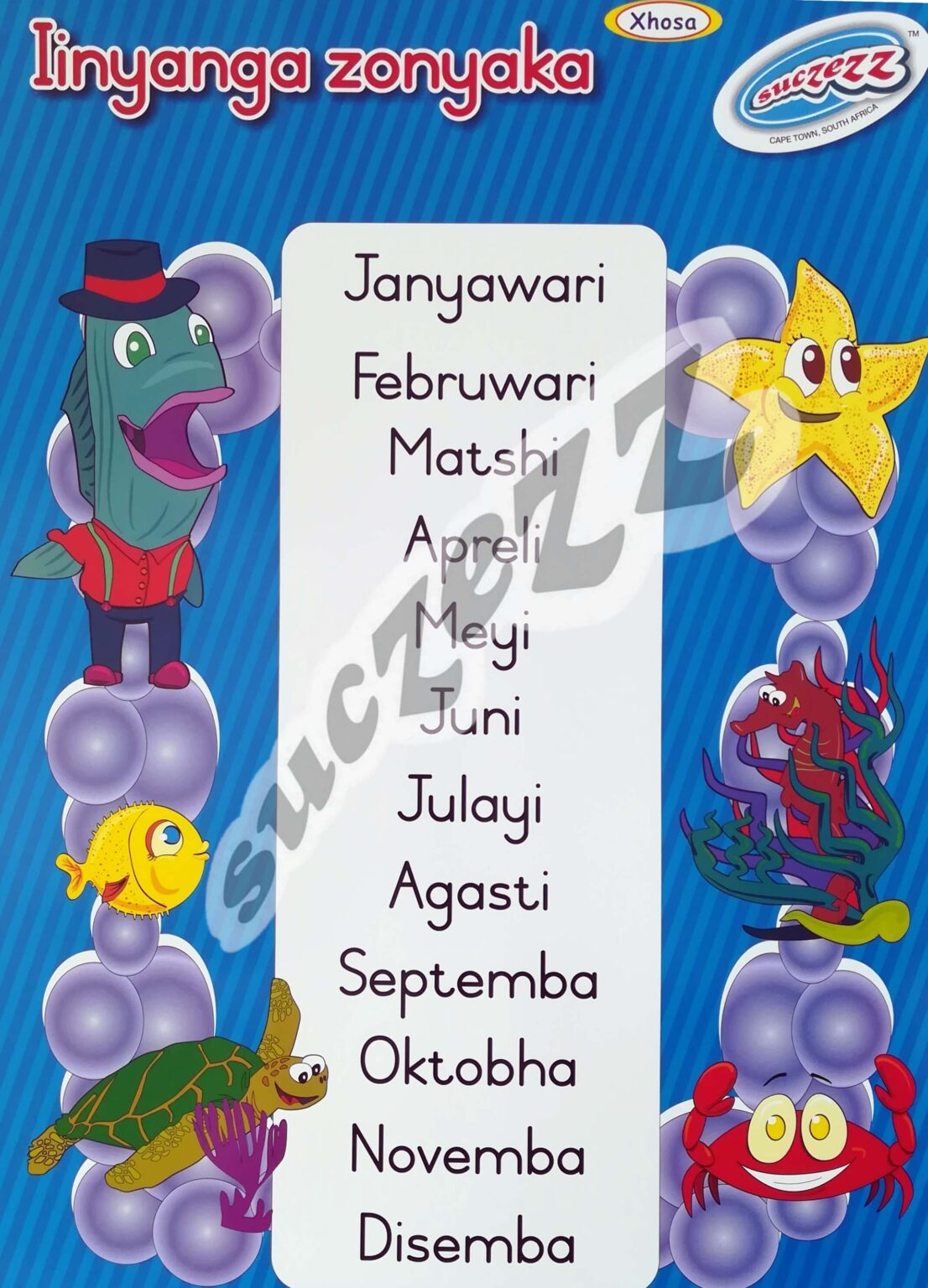 Iinyanga Zonyaka - (Months Of The Year) (Xhosa)