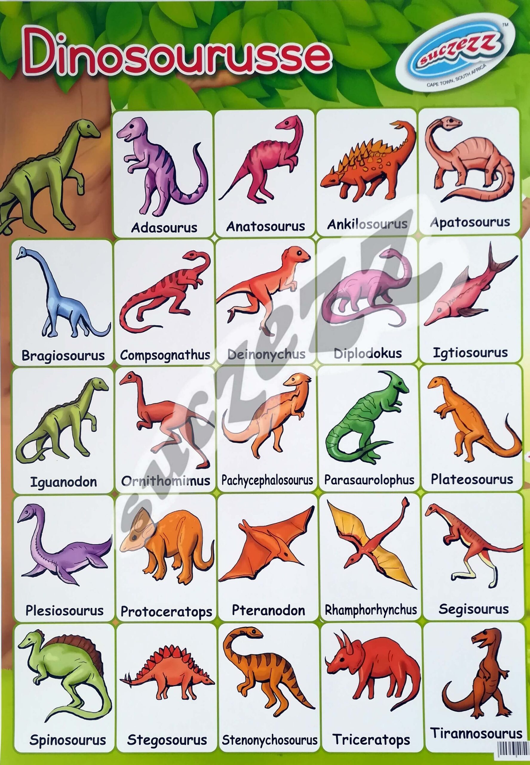 Dinisourusse - Muurkaart