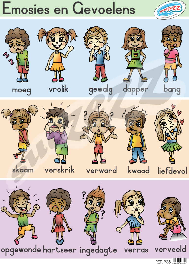 Emosies En gevoelens - Muurkaart