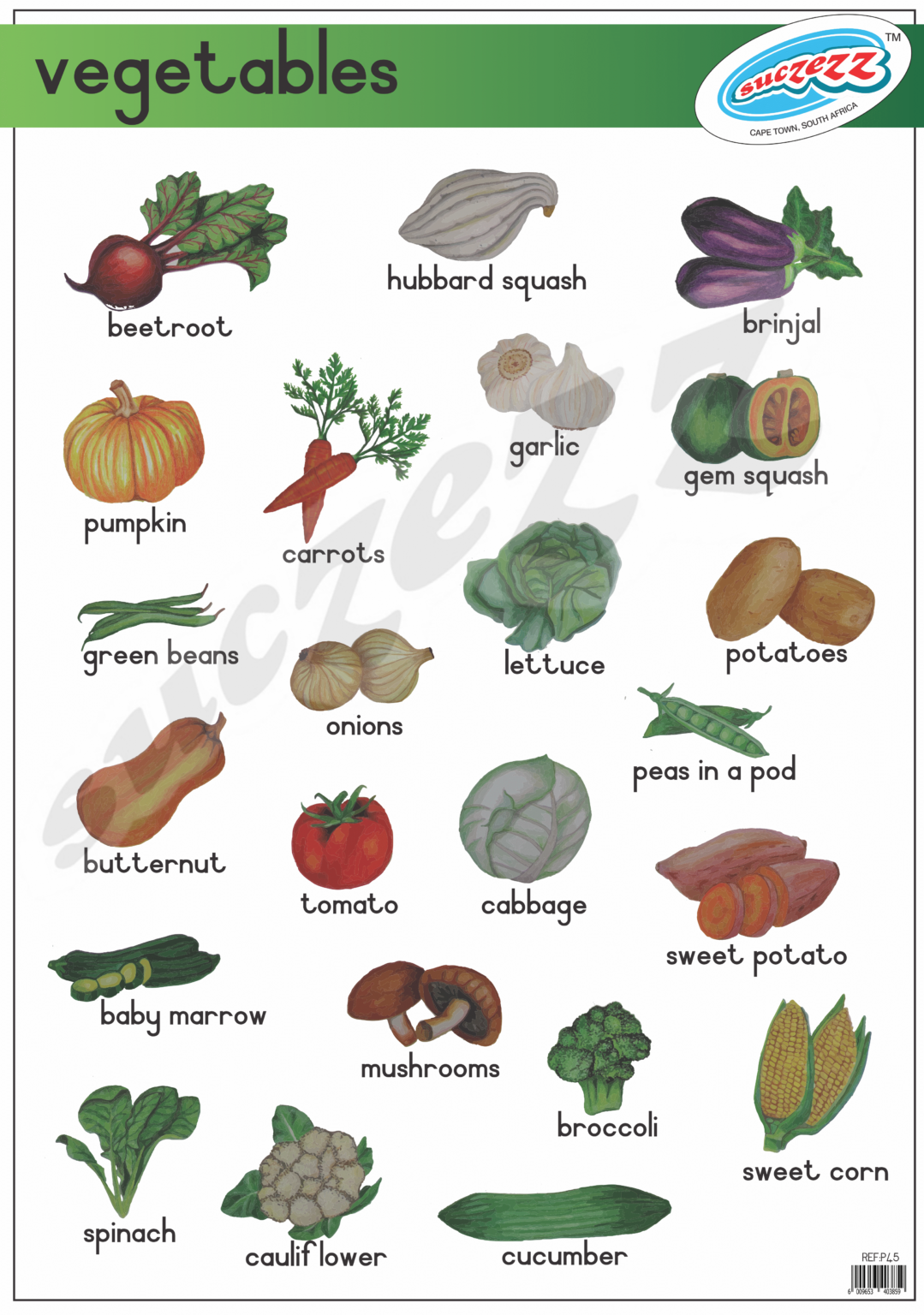 Vegetables - Poster