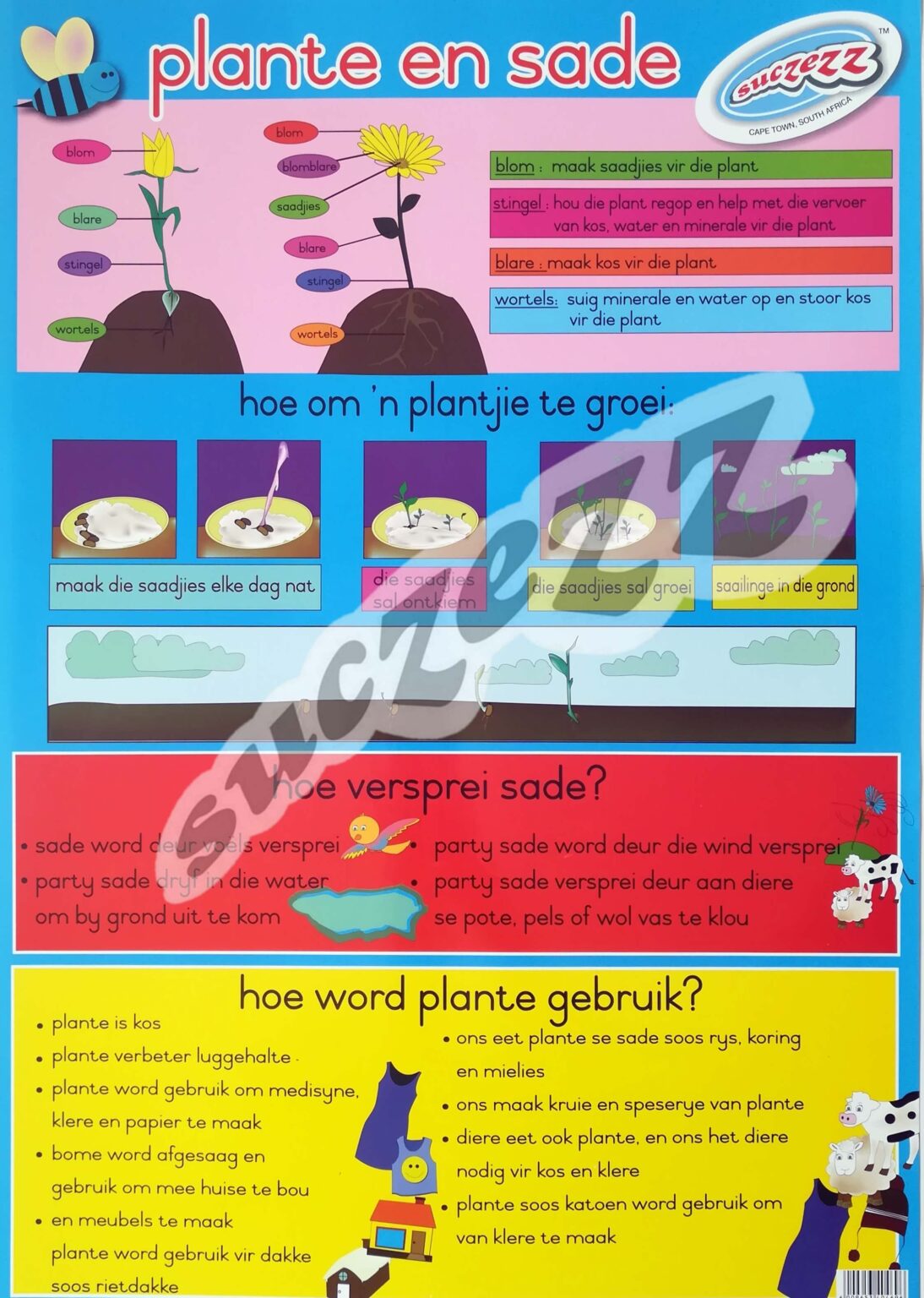 Plante En Sade - Muurkaart