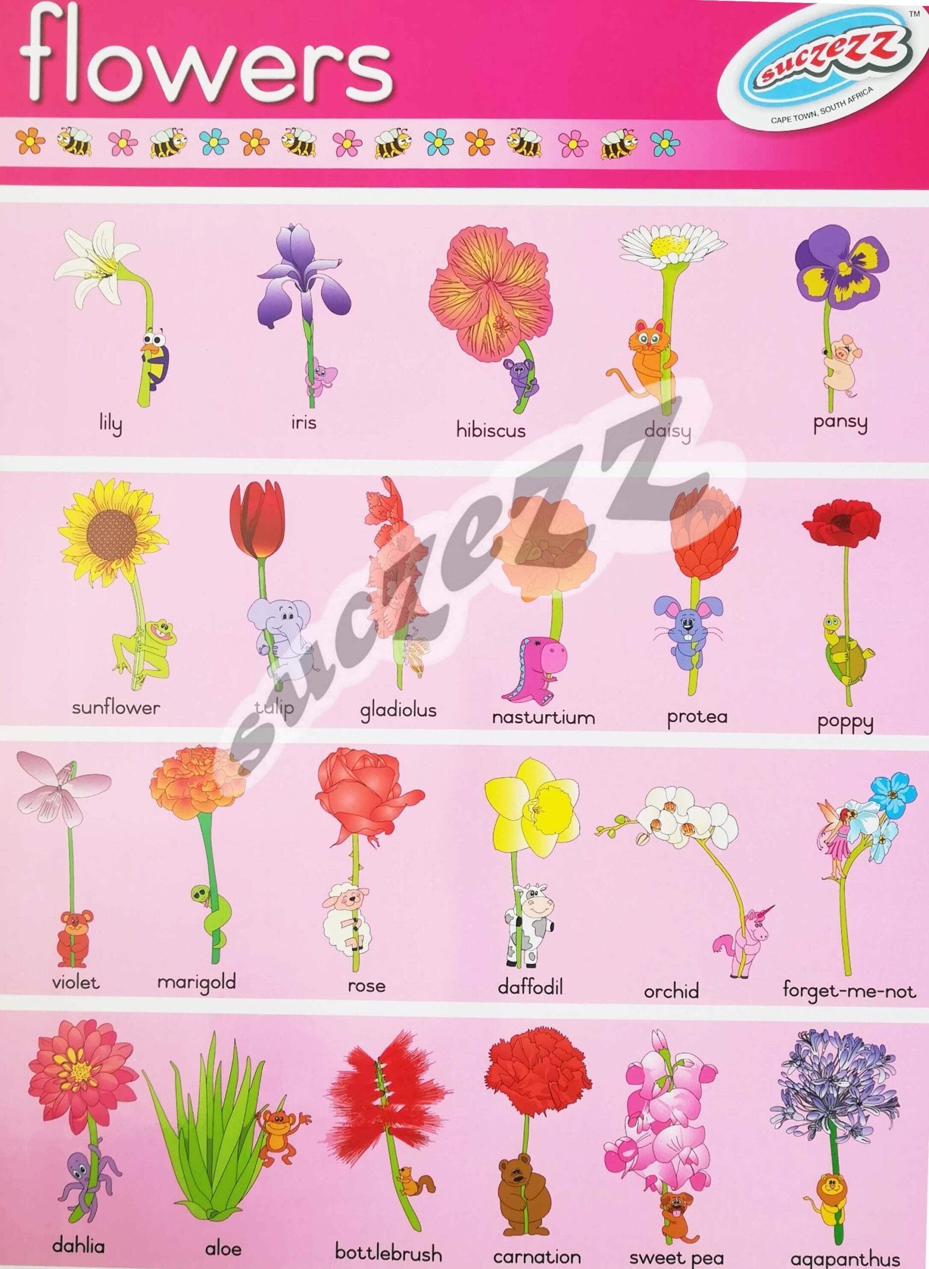 Flowers - Poster