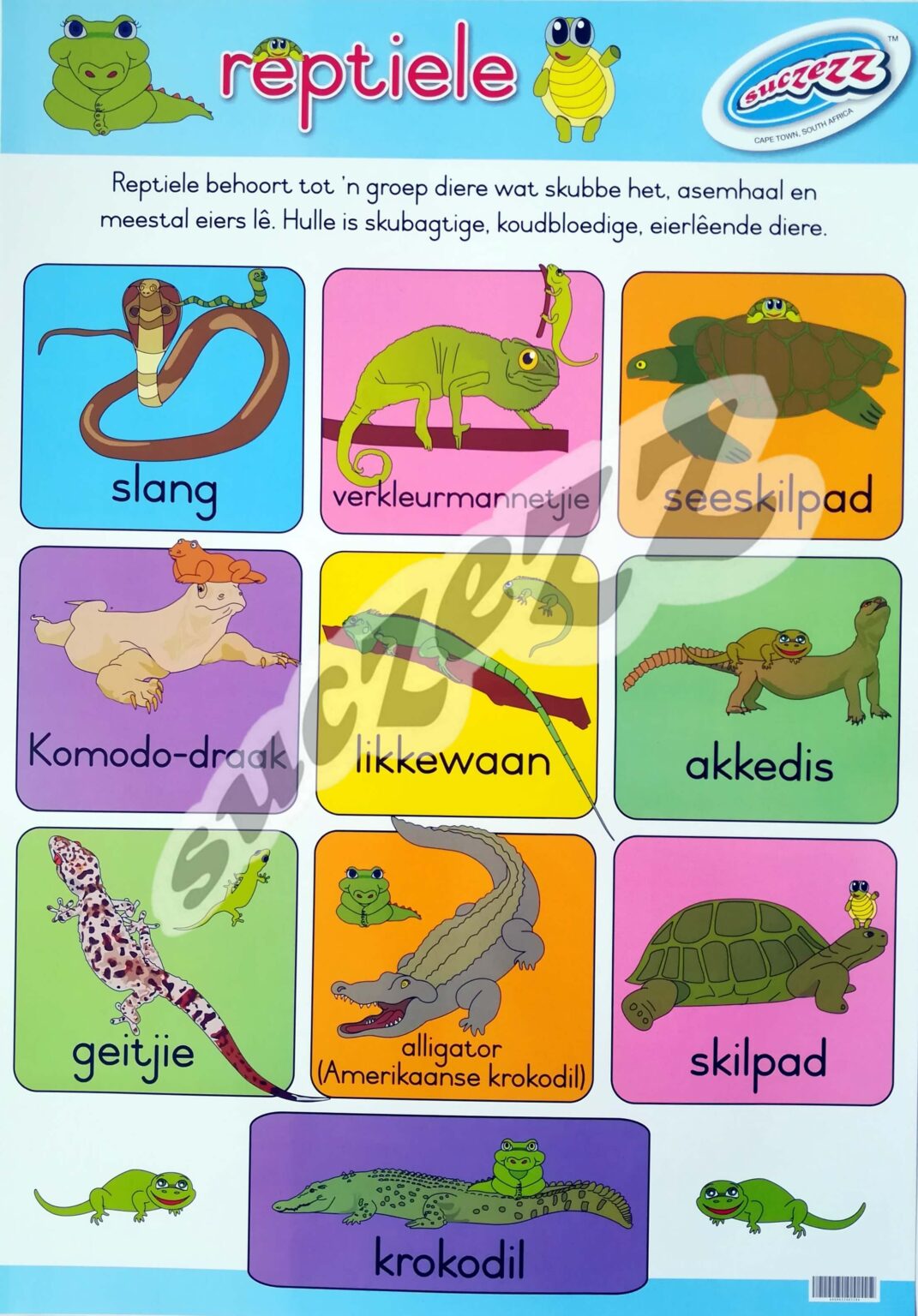 Reptiele - Muurkaart