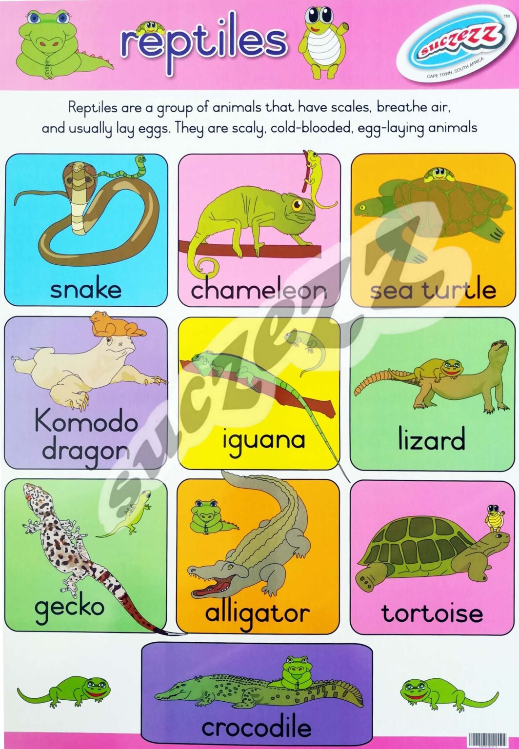 Reptiles - Poster
