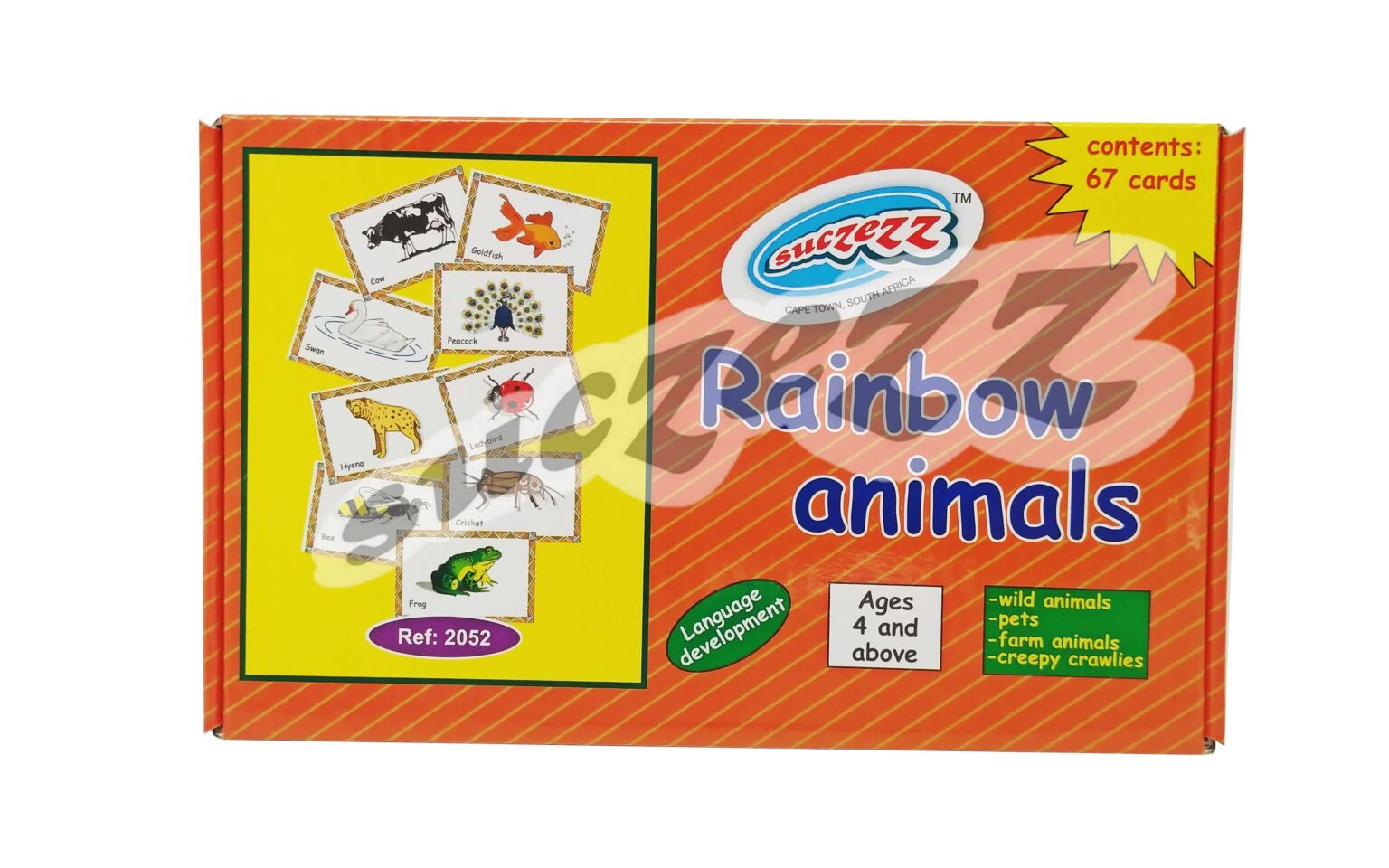 Rainbow Animals (Classification)