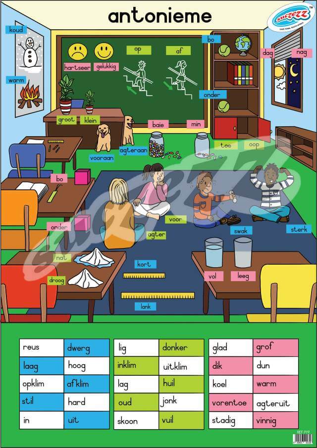 Antonieme - Muurkaart