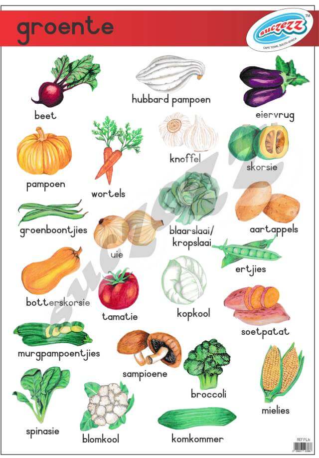 groente - Muurkaart