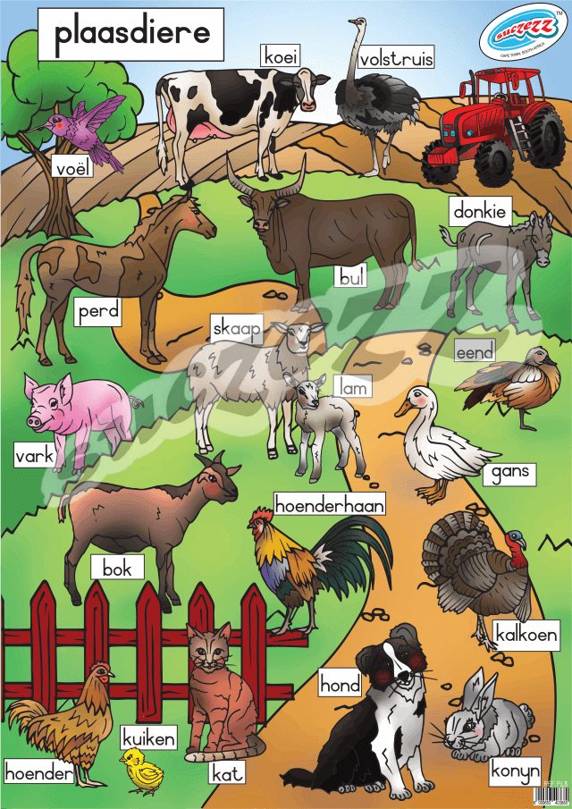 Plaasdiere - Muurkaart