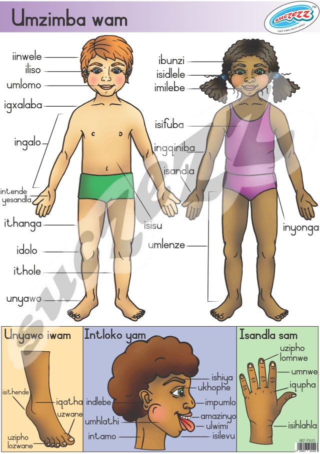 Umzimba Wam - (My Body) (Xhosa)