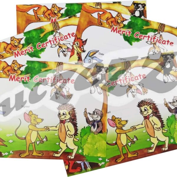 SucZeZZ Merit Certicate (5 In Pack)